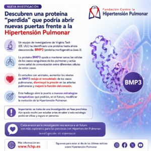 Una Proteína “perdida” Podría Abrir Nuevas Vías De Tratamiento Para La Hipertensión Arterial Pulmonar