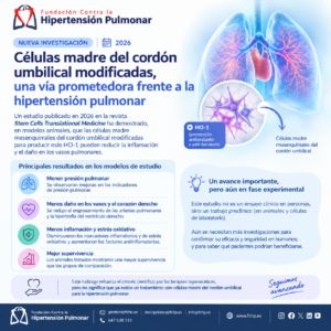 Células Madre Del Cordón Umbilical Modificadas: Una Nueva Línea De Investigación Frente A La Hipertensión Pulmonar